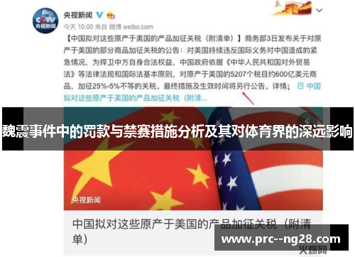 魏震事件中的罚款与禁赛措施分析及其对体育界的深远影响