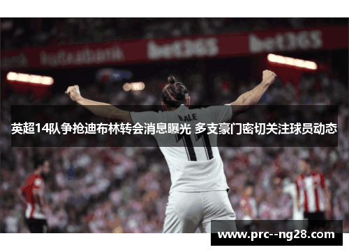 英超14队争抢迪布林转会消息曝光 多支豪门密切关注球员动态