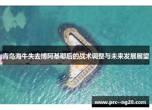 青岛海牛失去博阿基耶后的战术调整与未来发展展望