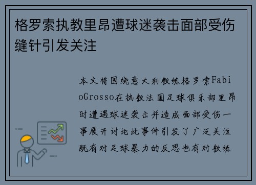 格罗索执教里昂遭球迷袭击面部受伤缝针引发关注